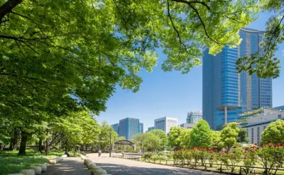 株式会社ウスイデンタル｜メッセージサムネイル