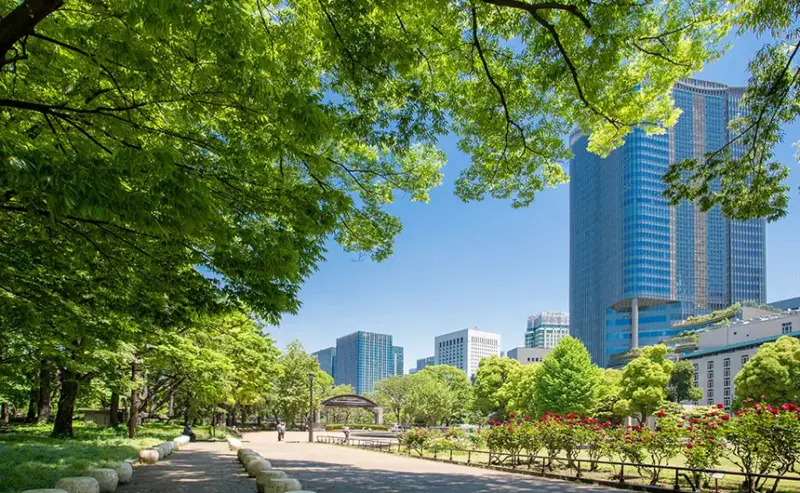 株式会社ウスイデンタル｜メッセージサムネイル